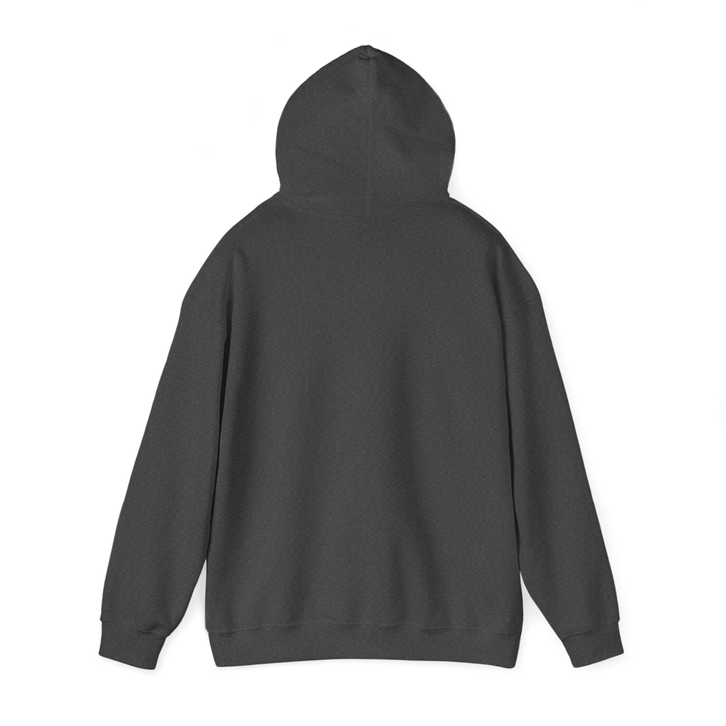 Hooded Sweatshirt - Level Up Design