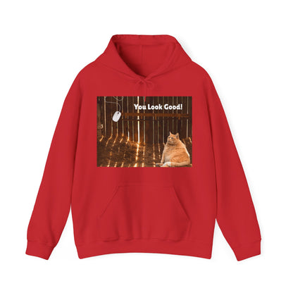 Cozy Cat Vibes Hoodie - You Look Good Unisex Sweatshirt